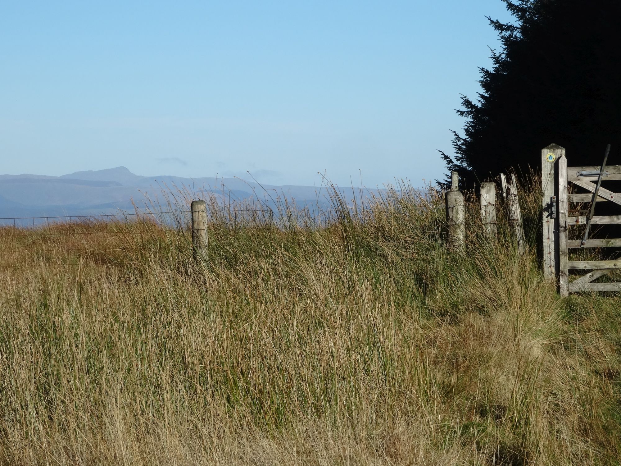 RachelSeabrook.net | Wild Walking | Moel y Llyn | pic18